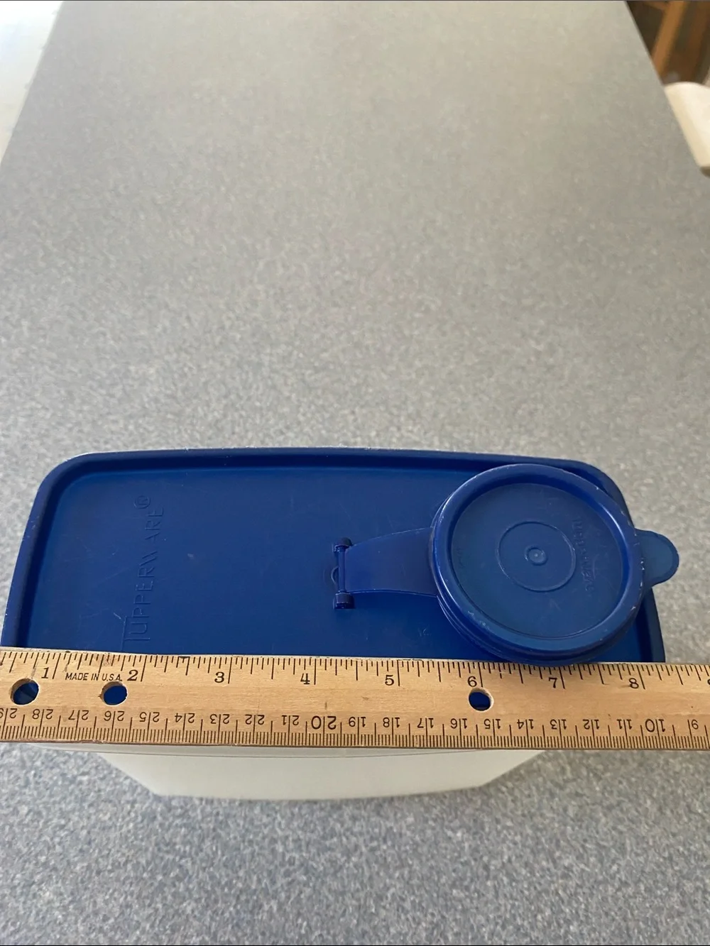 Tupperware White Translucent Container with Blue Lid